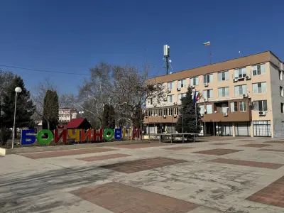 Община Бойчиновци