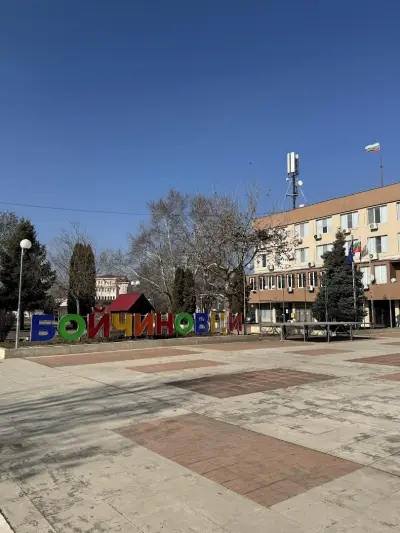 Община Бойчиновци