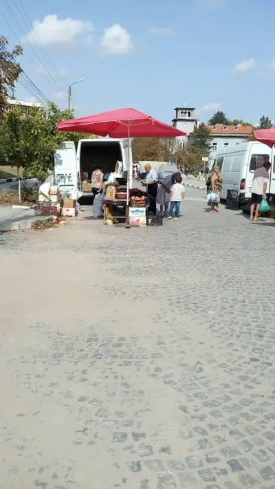 Кметство Бреница