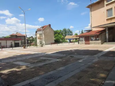 Кметство Петърница