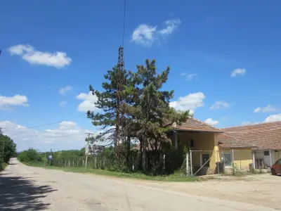 Кметство Петърница