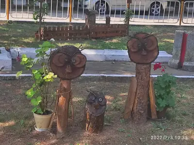 Кметство село Бохот