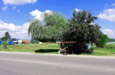 Кметство Ябълково
