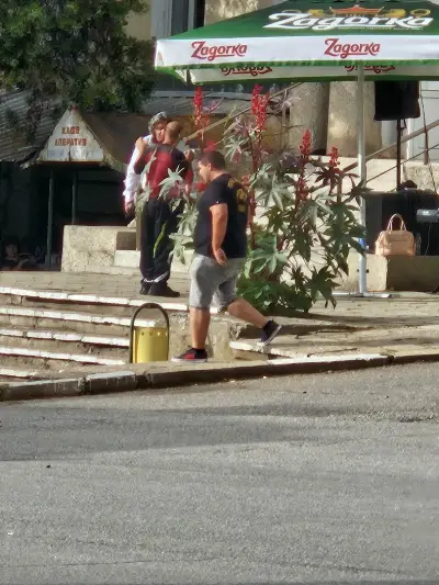 Кметство Горна Гращица