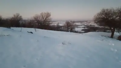 КМЕТСТВО БАЩИНО