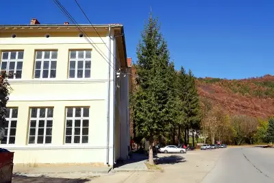 Кметство Бели Осъм