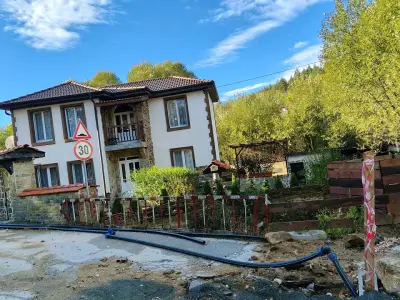Кметство Свежен