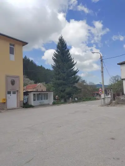 Кметство Свежен