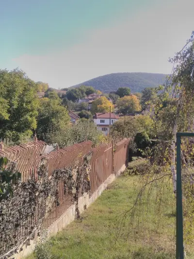 Кметство Сулица