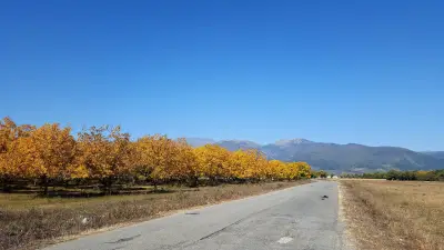 КМЕТСТВО АСЕН