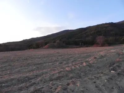 Кметство Долно Изворово