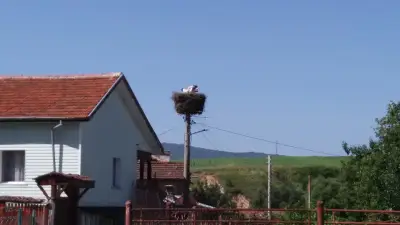 Кметство Поповяне