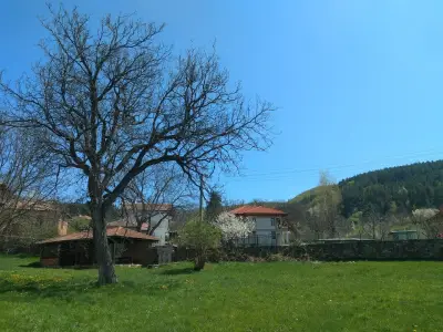 Кметство Дрен