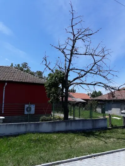 Кметство Борово
