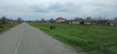 Кметство Княжевско