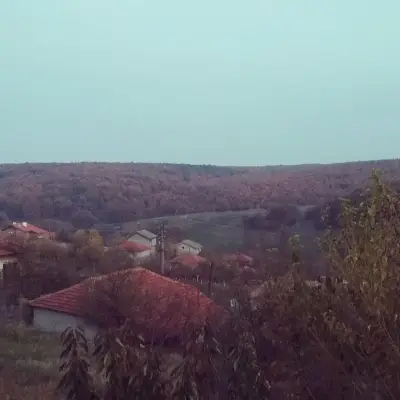 Кметство Светлина