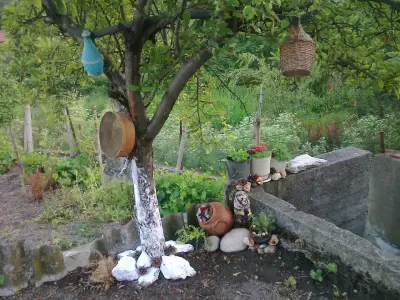 Кметство Златна ливада