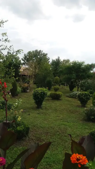 Кметство Енево