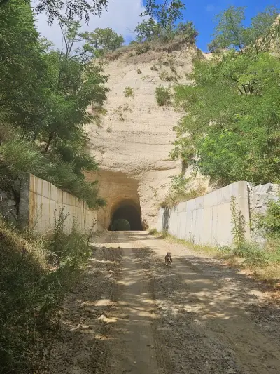 Кметство Любовище