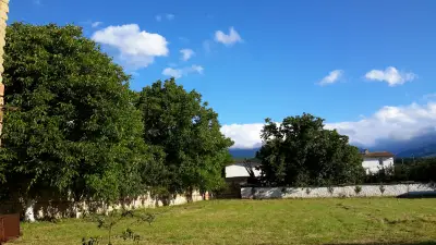 КМЕТСТВО МАНОЛОВО