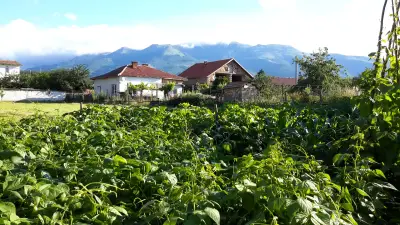 КМЕТСТВО МАНОЛОВО