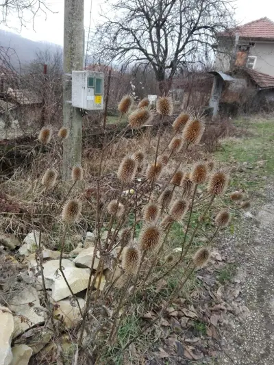 КМЕТСТВО ИДИЛЕВО