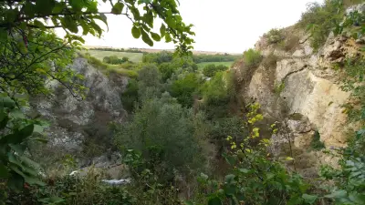 Кметство Градина