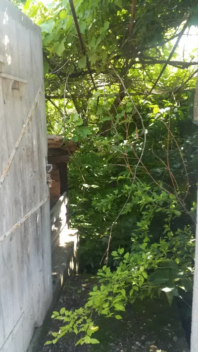 Кметство Градина