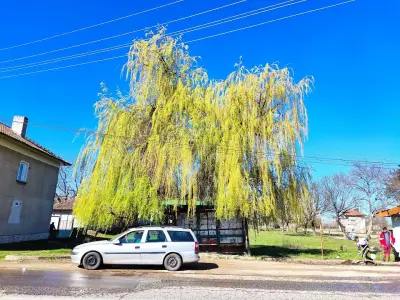 Кметство Баница