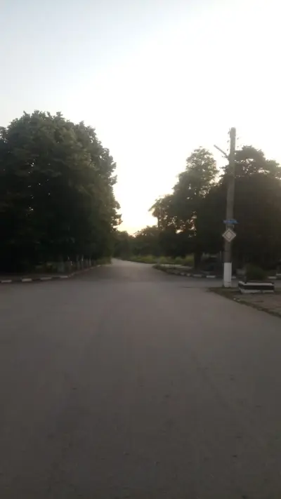 Кметство Ракитница