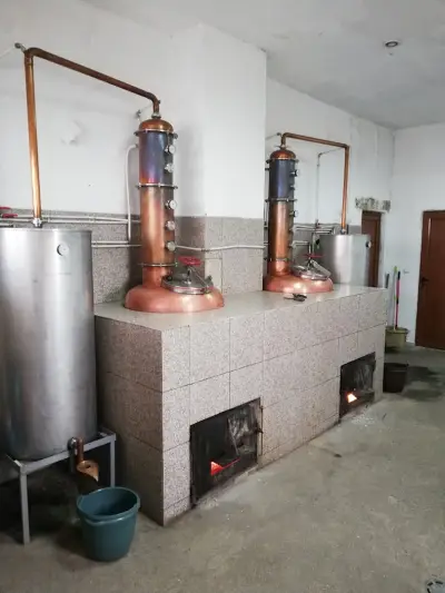 Кметство Пчелище