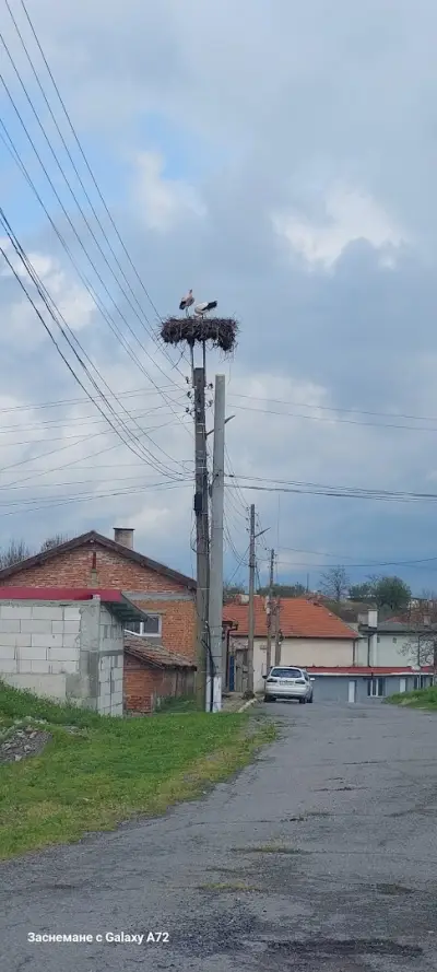 Кметство Козарево