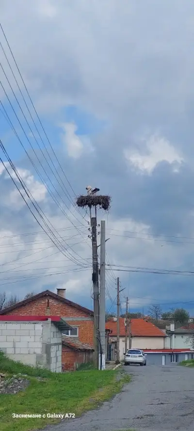 Кметство Козарево