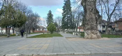 Кметство Грозден