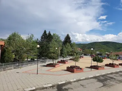 Кметство Манолич
