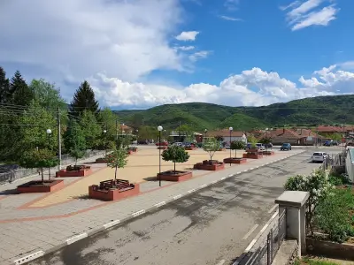 Кметство Манолич