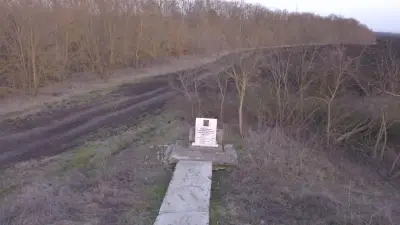 Кметство Дюлево