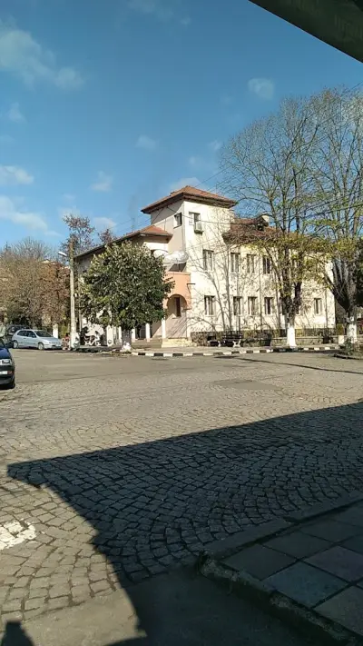 Кметство Ново Паничарево