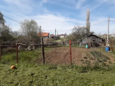 Кметство Крушевец