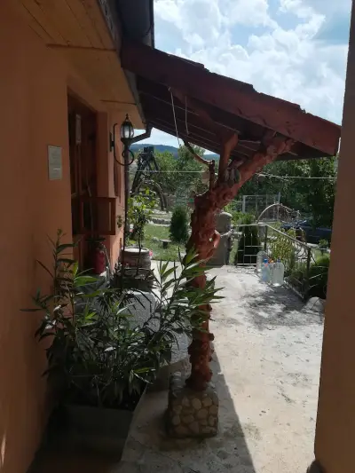 Кметство Драчево