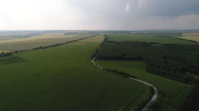 Кметство Киченица