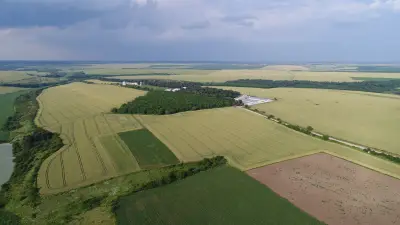 Кметство Киченица