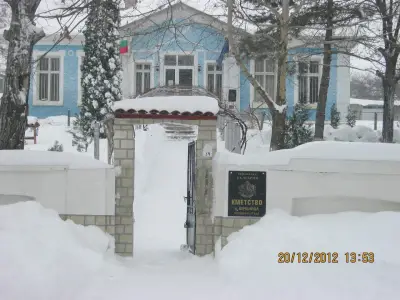 Кметство Киченица