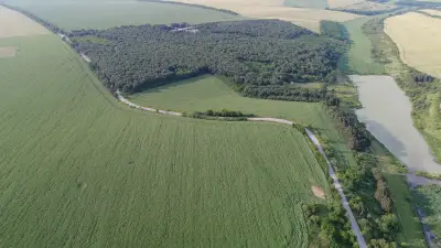 Кметство Киченица
