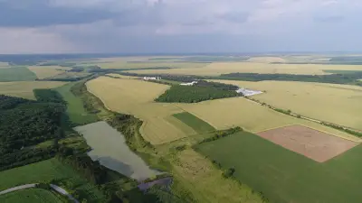 Кметство Киченица