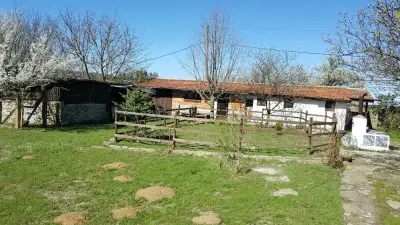 Кметство Козичино