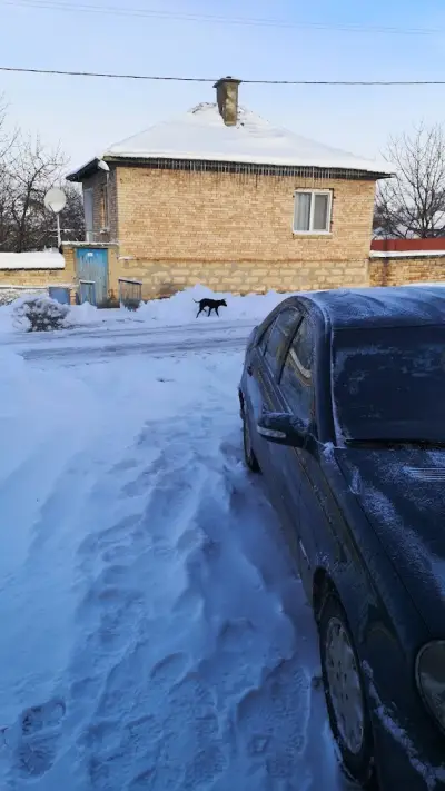 Кметство Църквица