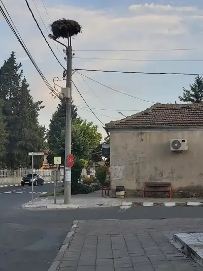 Кметство Оризаре