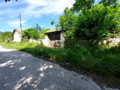 Кметство Невша