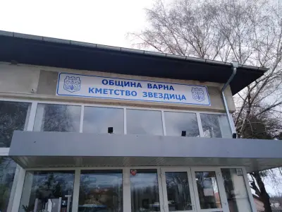 Кметство Звездица